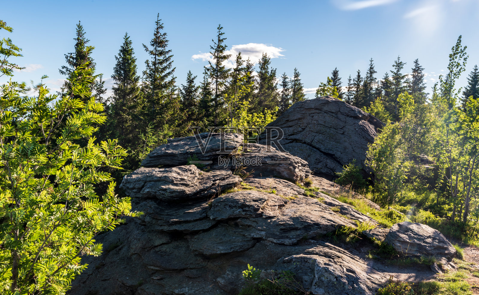 捷克共和国杰谢尼基山脉Zarovy vrch山上的岩层和周围的树木照片摄影图片