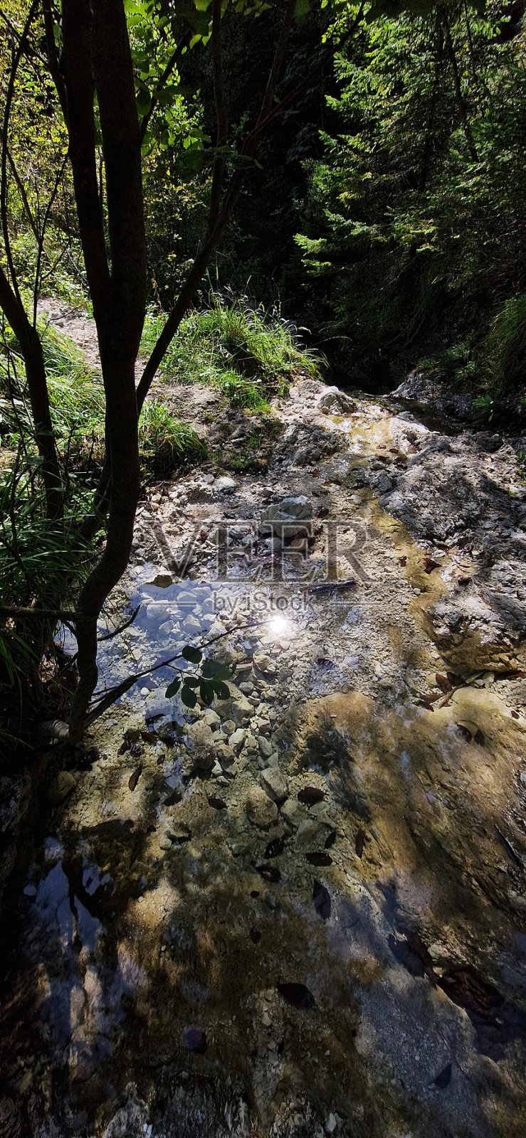 水和阳光照片摄影图片