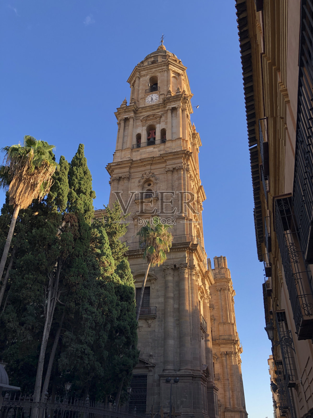 马拉加大教堂。Málaga大教堂是位于西班牙南部安达卢西亚Málaga市的一座罗马天主教堂照片摄影图片