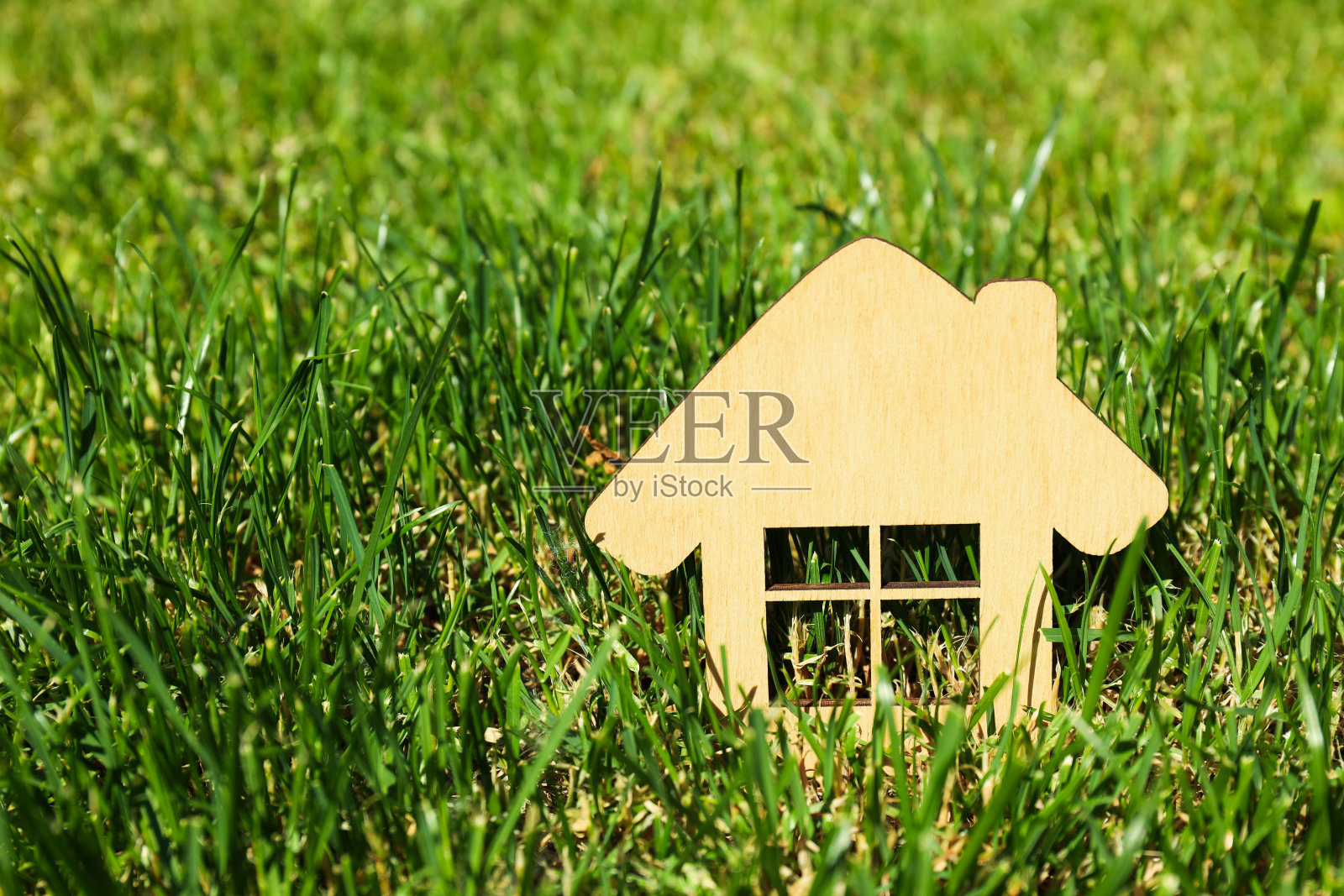 家庭观念，保护家庭，家庭权利，家庭健康照片摄影图片