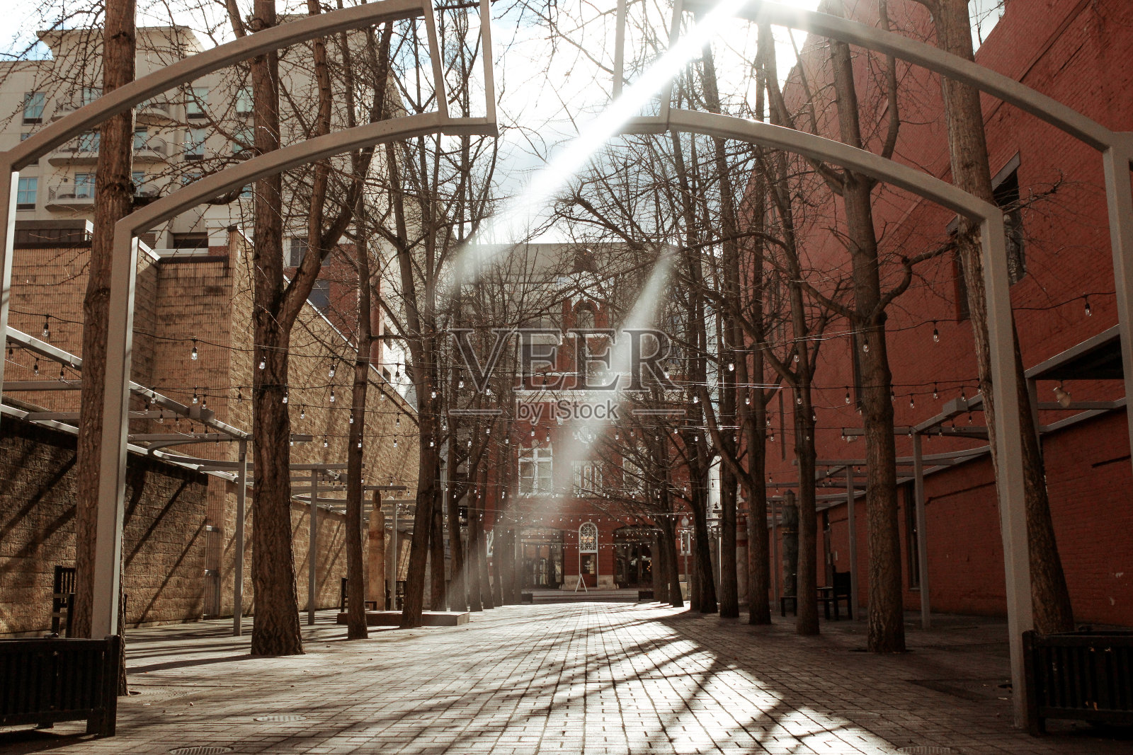 市中心的罗阿诺克阳光照片摄影图片