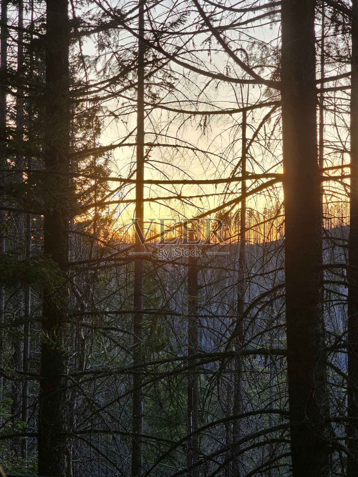 户外摄影照片摄影图片