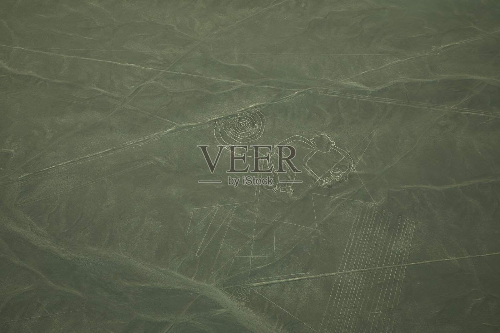 这只猴子。纳斯卡线条。秘鲁。照片摄影图片