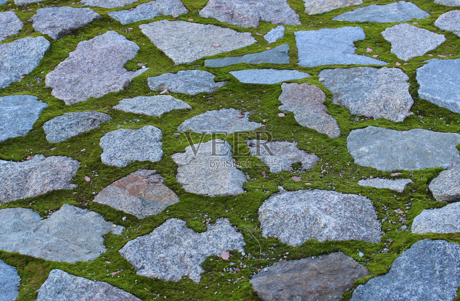 从角度看，长满苔藓的小径上古老的石头的详细图案照片摄影图片