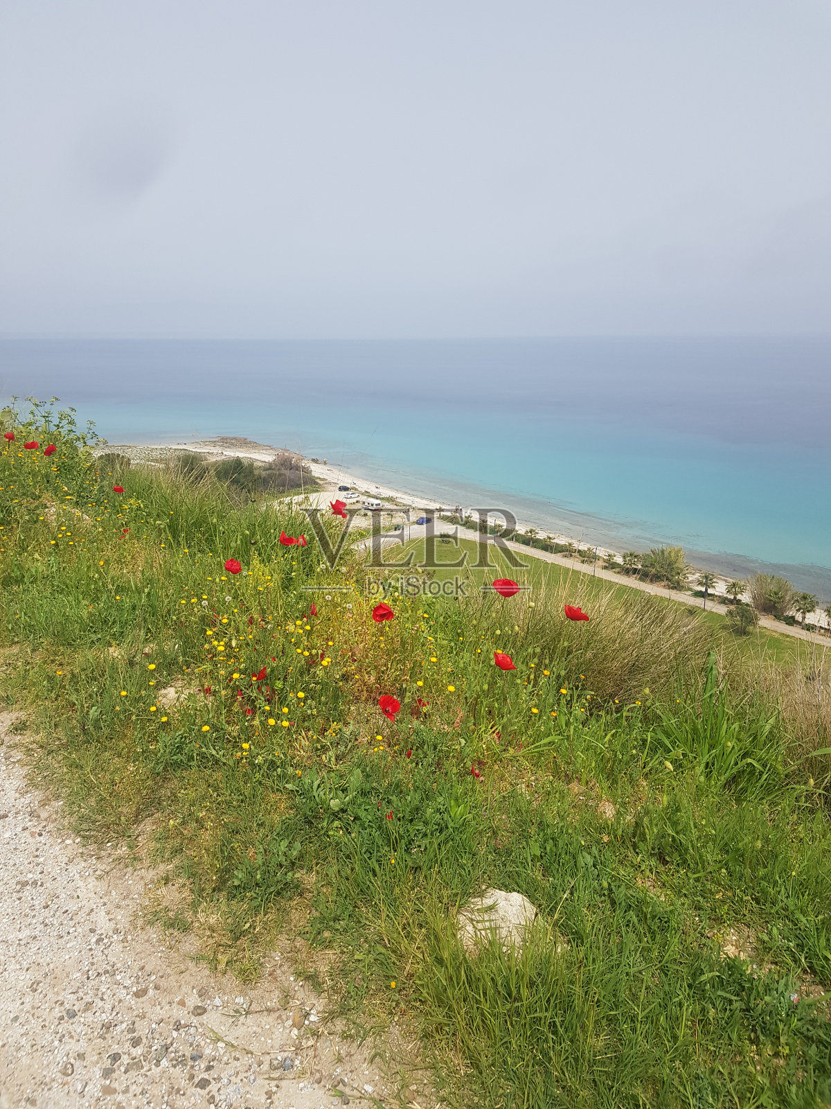 从山上眺望照片摄影图片