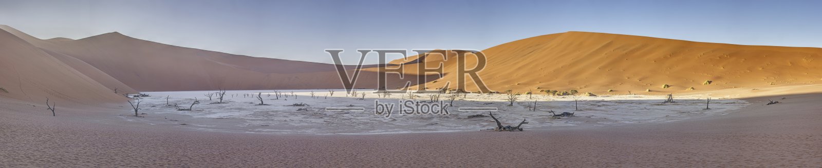 纳米布沙漠的Deadvlei盐田全景图，晨光中红色沙丘前的枯树照片摄影图片