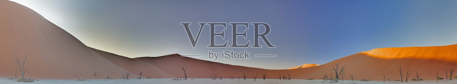 纳米布沙漠的Deadvlei盐田全景图，晨光中红色沙丘前的枯树照片摄影图片