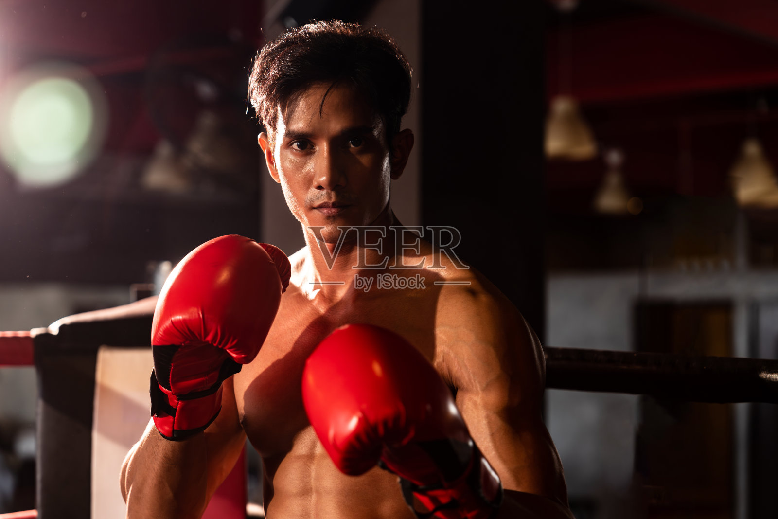 鲍克瑟在镜头前挥拳摆姿势。动力照片摄影图片