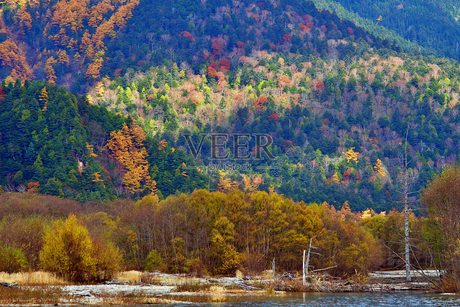 日本长野县北部阿尔卑斯山脉的上高内国家公园。照片摄影图片