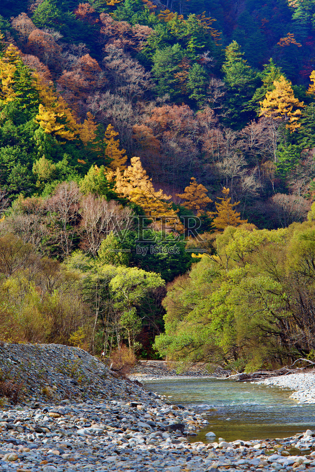 日本长野县北部阿尔卑斯山脉的上高内国家公园。照片摄影图片