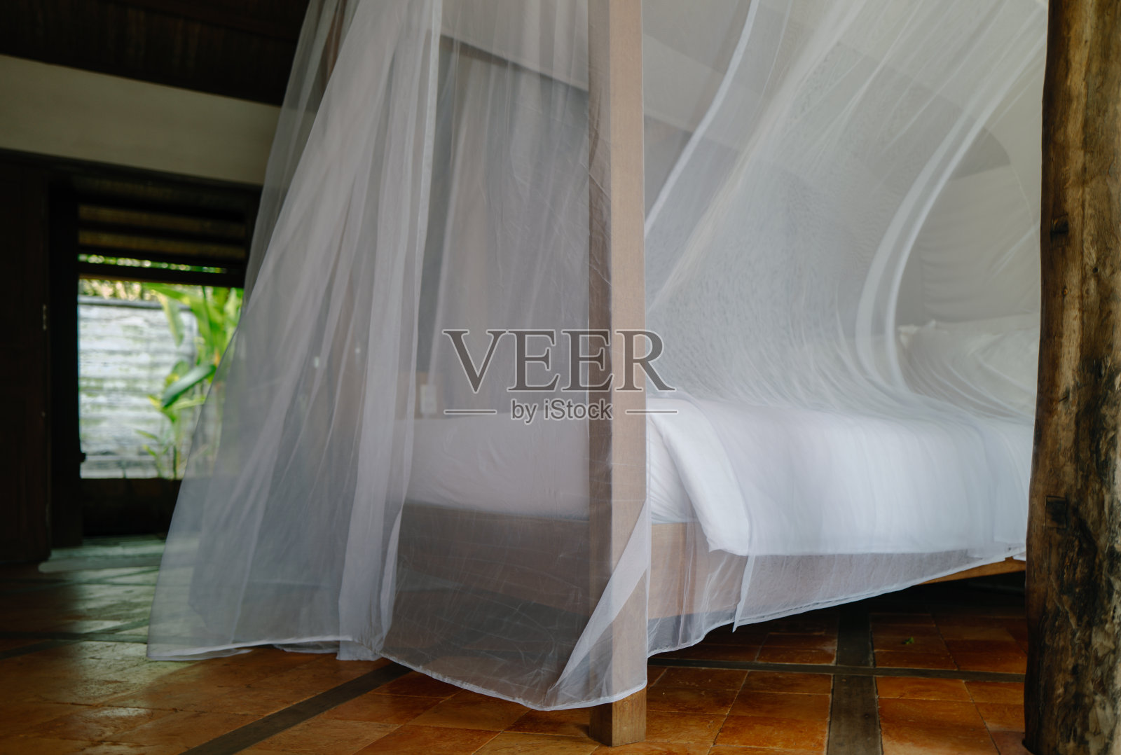 用绿色的方式让蚊子远离照片摄影图片