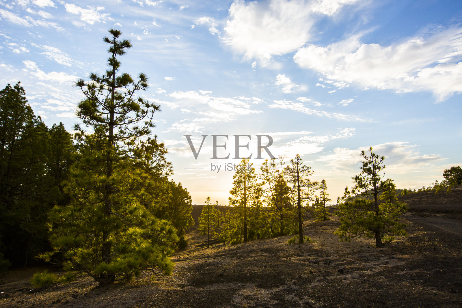 西班牙，加那利群岛，拉帕尔马岛，春天的日落照片摄影图片