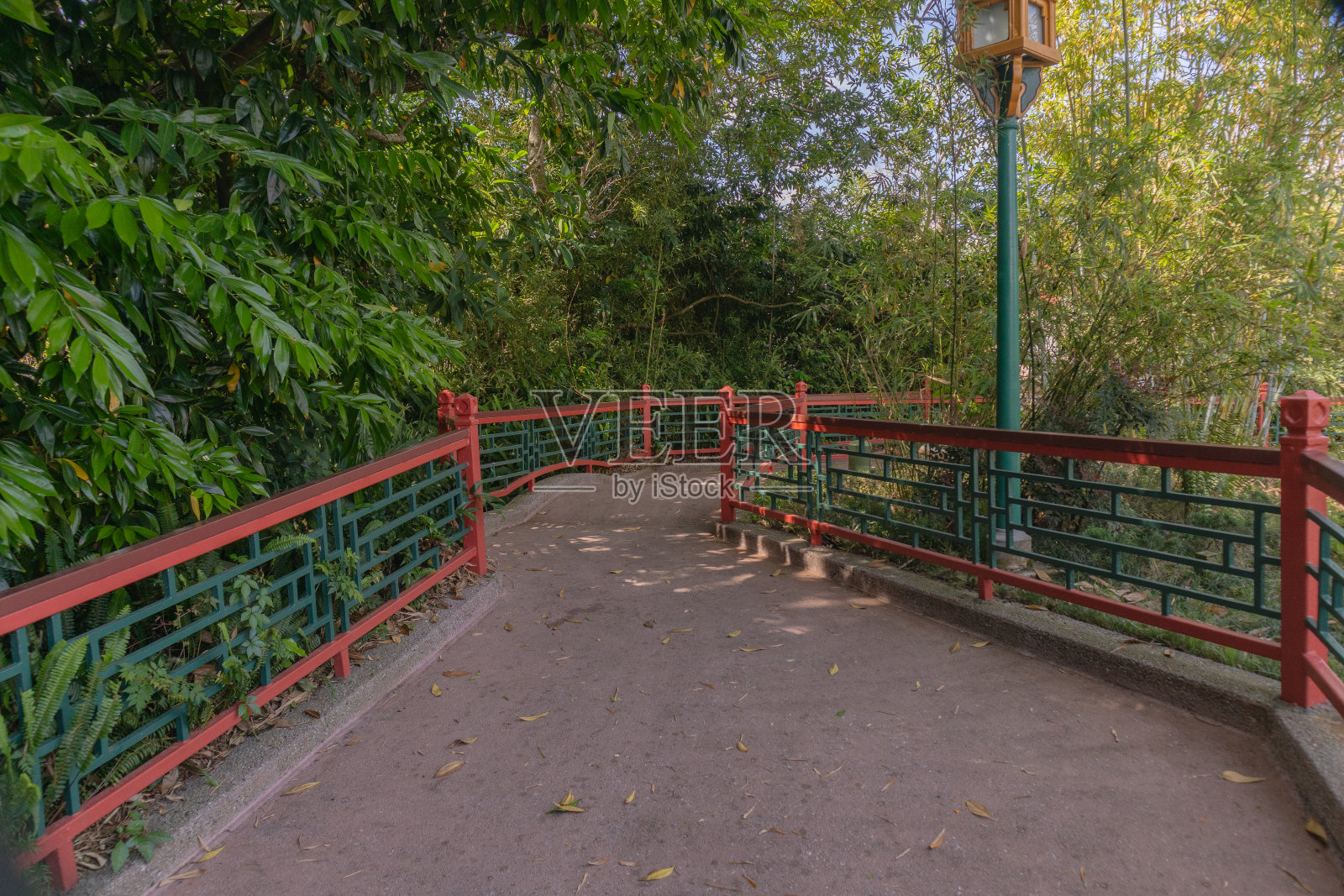 竹林公园中日式花园小径的广角景观照片摄影图片