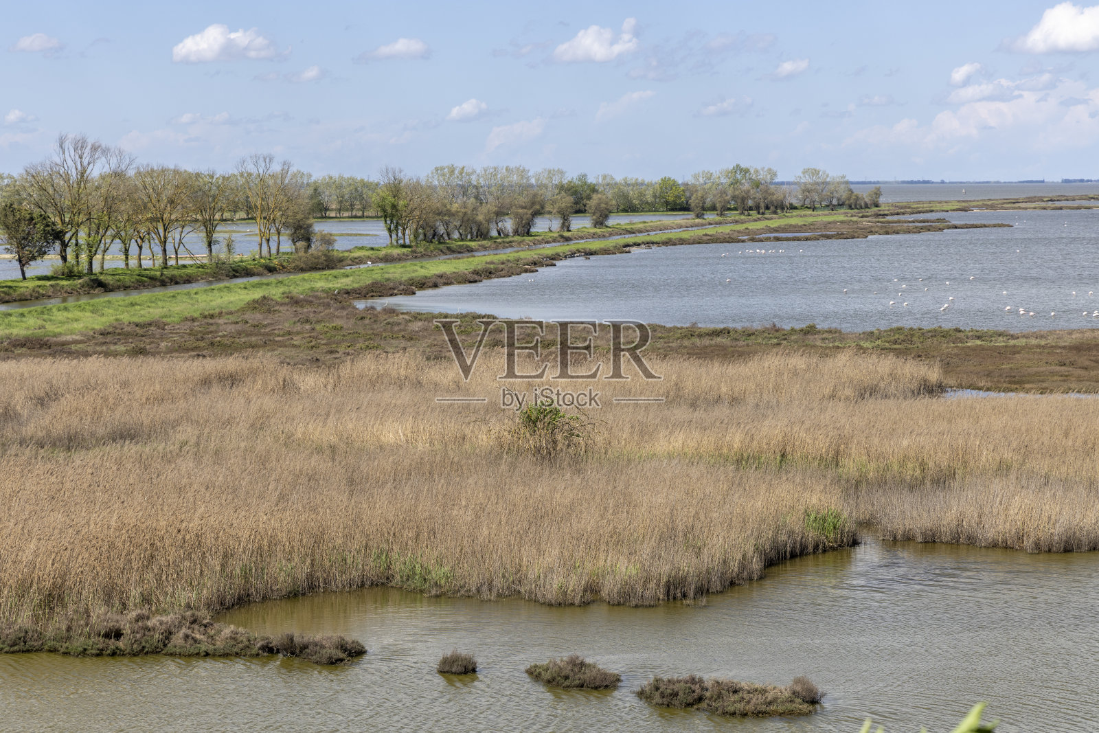 瓦利·迪·科马乔照片摄影图片