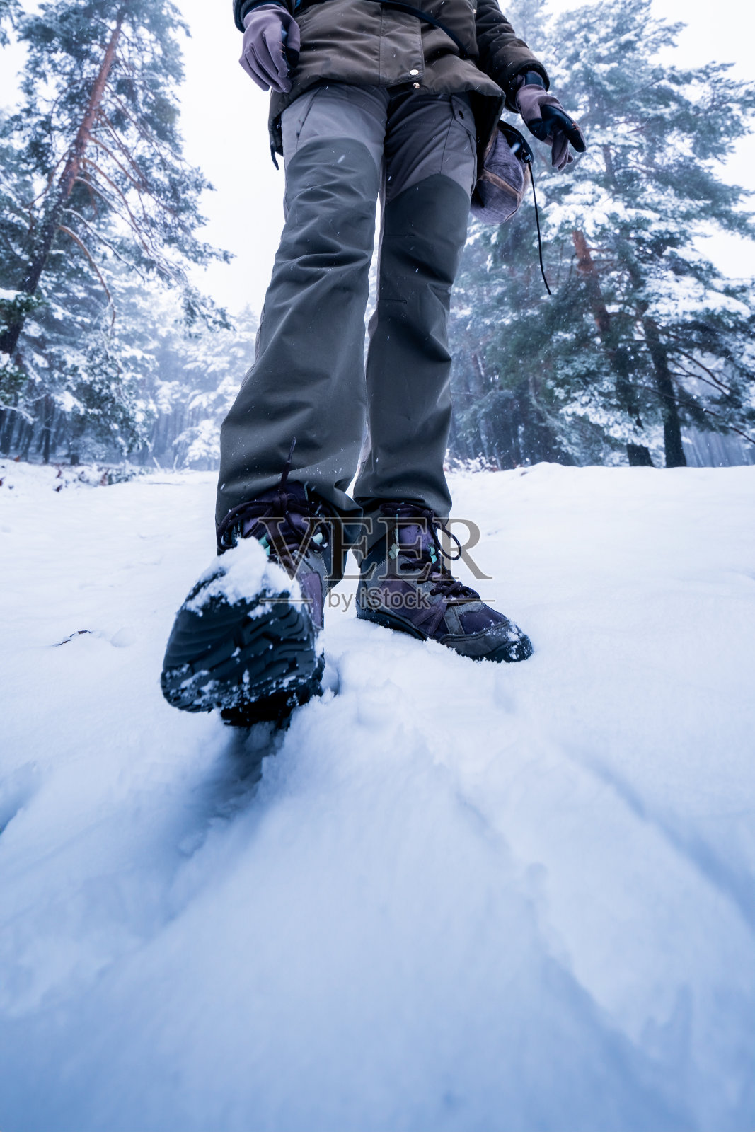 徒步旅行者的腿，在积雪覆盖的森林中，瓜达拉马山的背景。照片摄影图片