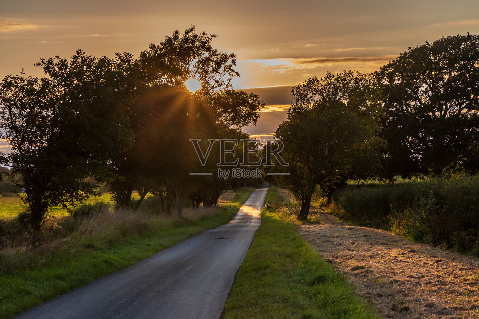 夏日傍晚，苏塞克斯的一条乡间小路照片摄影图片