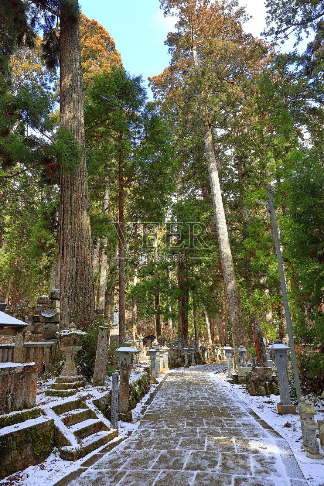 伊藤区高谷市高野山的大野山墓地照片摄影图片