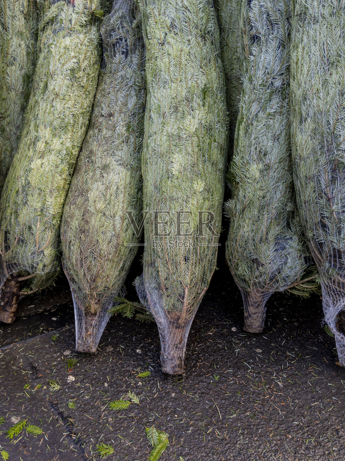 出售圣诞树照片摄影图片