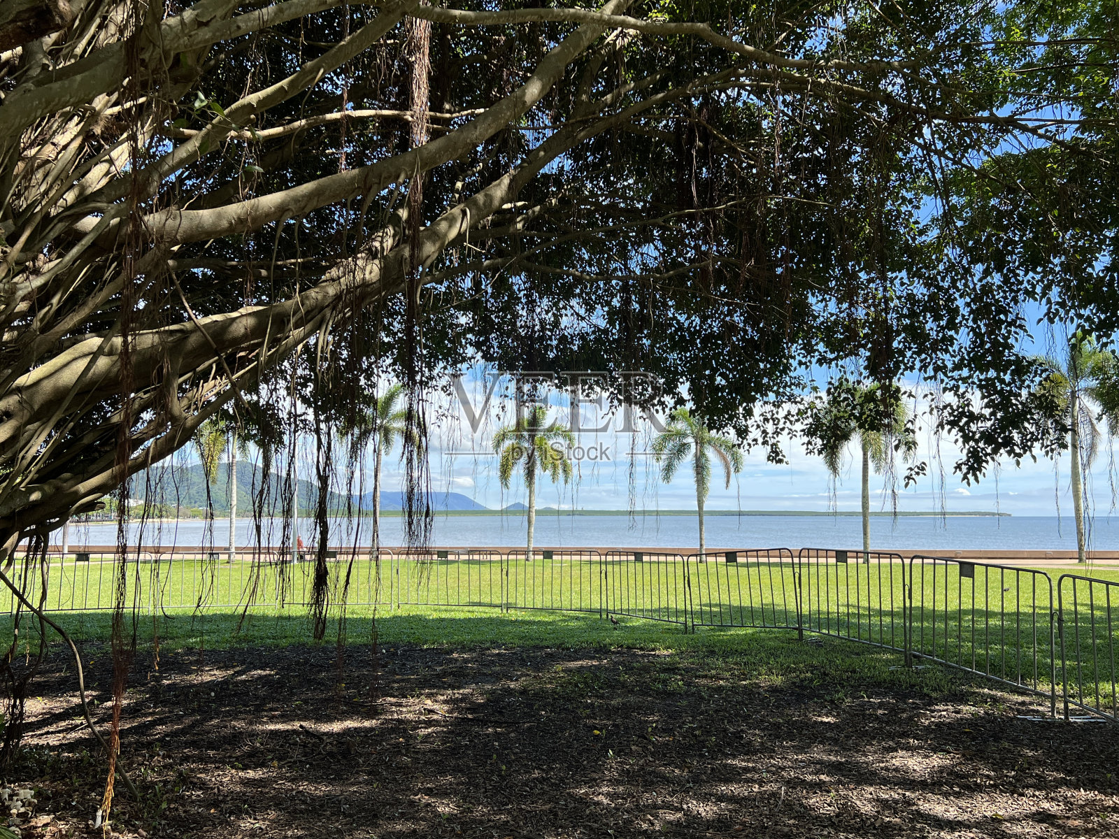 米尔照片摄影图片