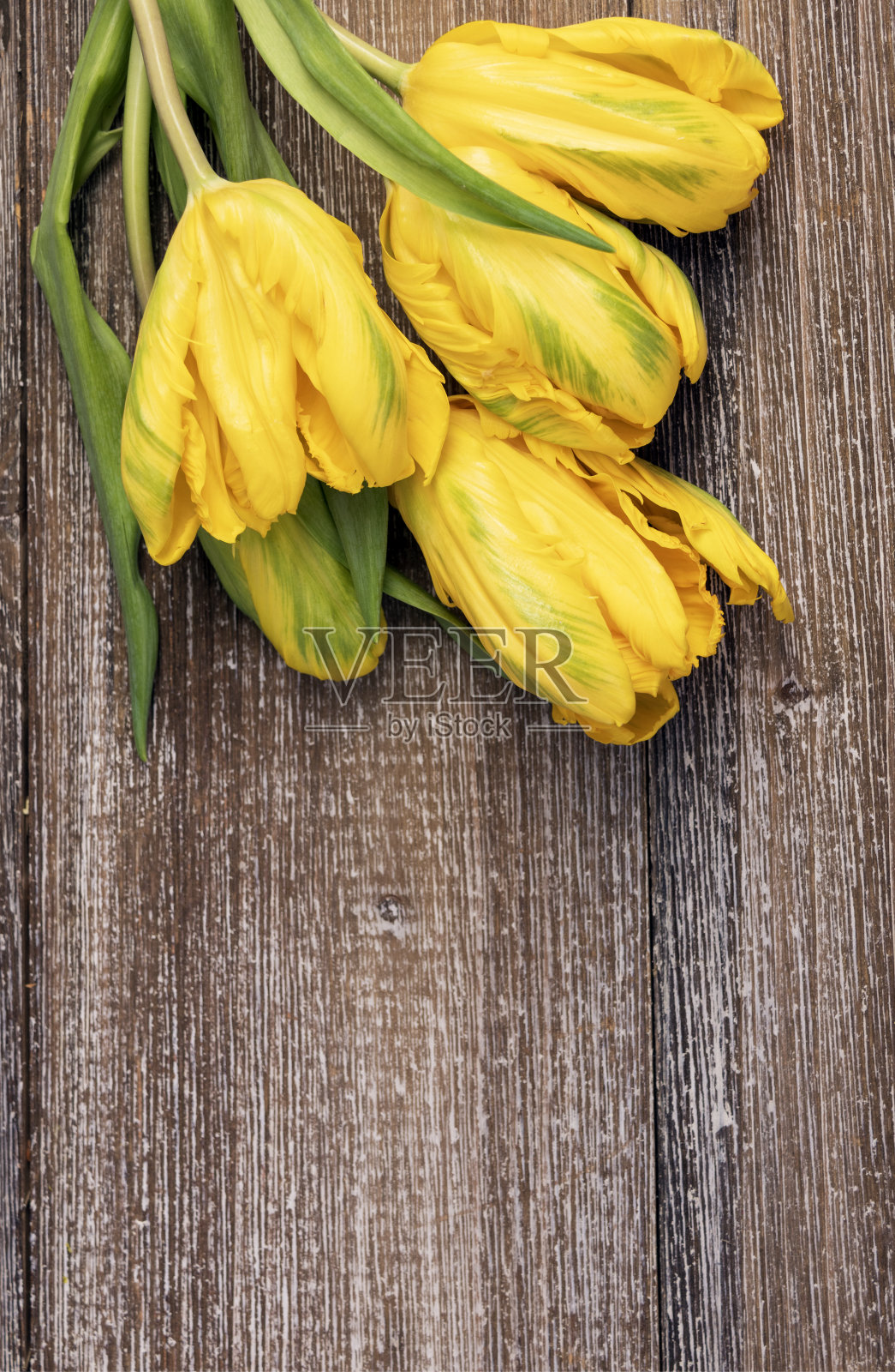 棕色的木桌上放着一束带叶子的黄色郁金香。照片摄影图片