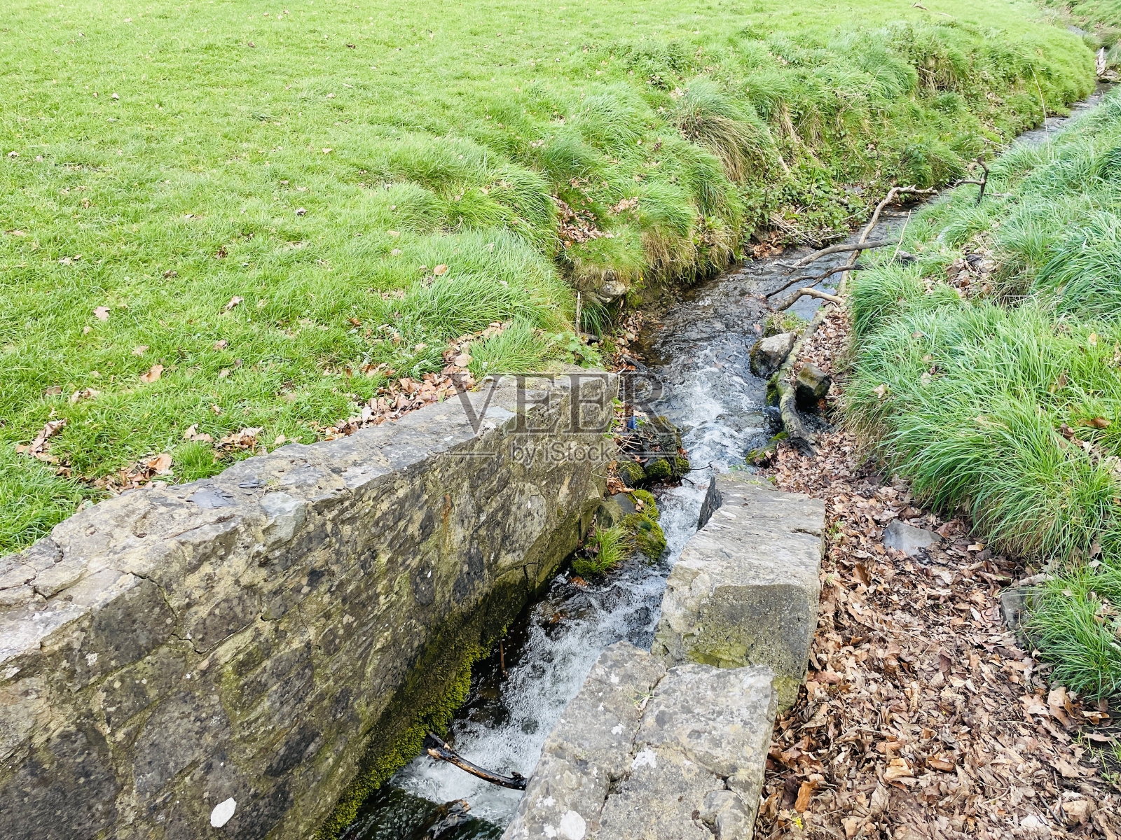 公园里流动的小溪照片摄影图片