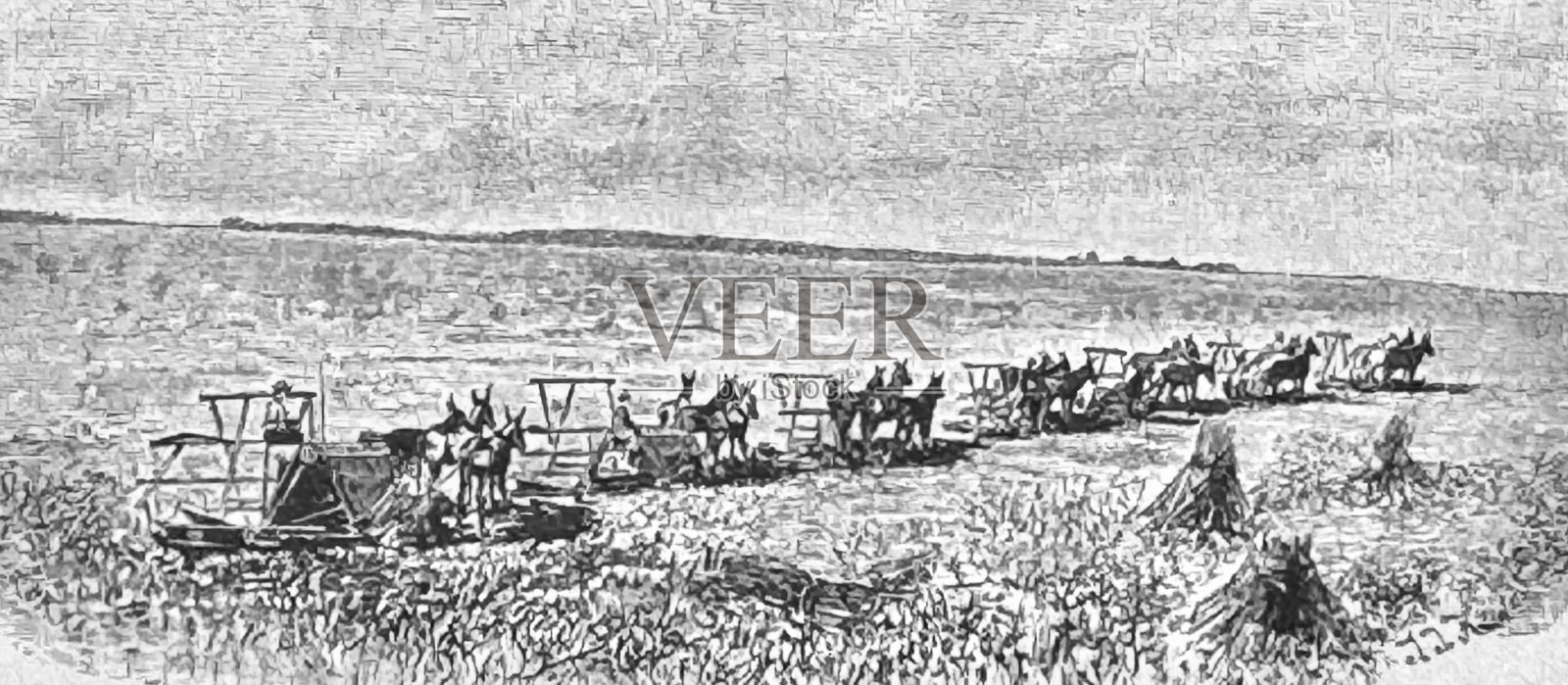 达科塔州的收获插画图片素材