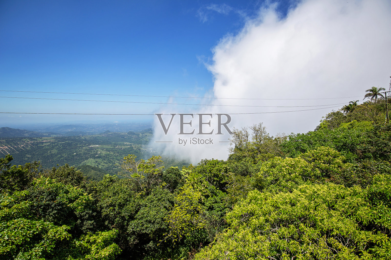 美丽的天空，云彩和丛林照片摄影图片