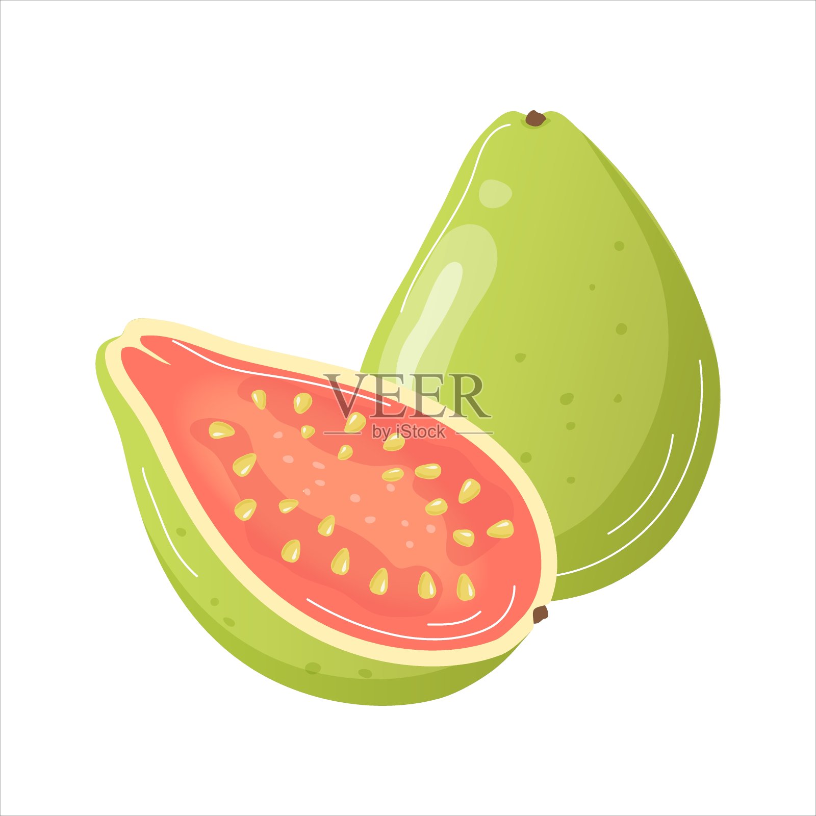 番石榴插画图片素材