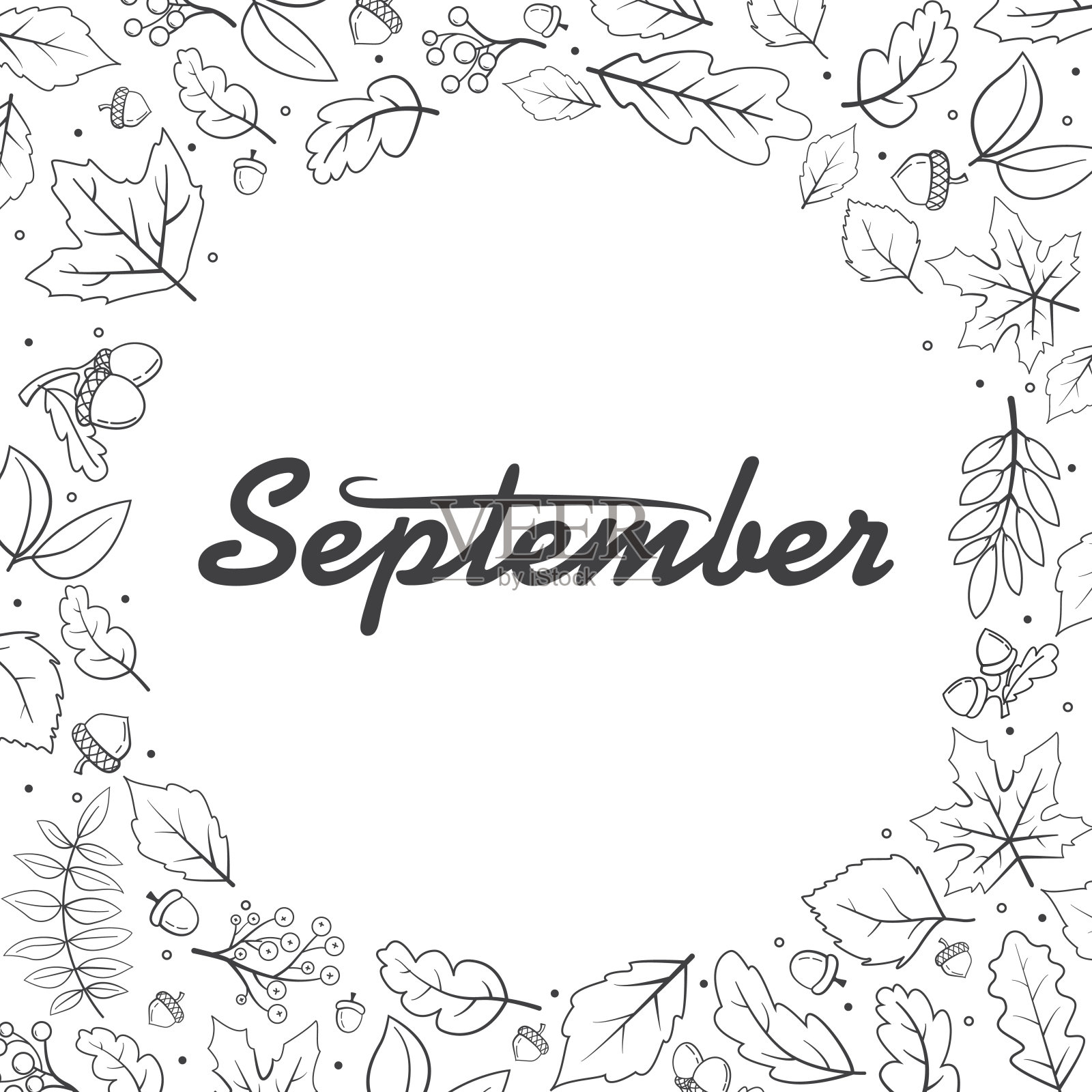 手绘秋叶涂鸦造型。落叶。秋叶线艺枫、橡树、橡子。插画图片素材