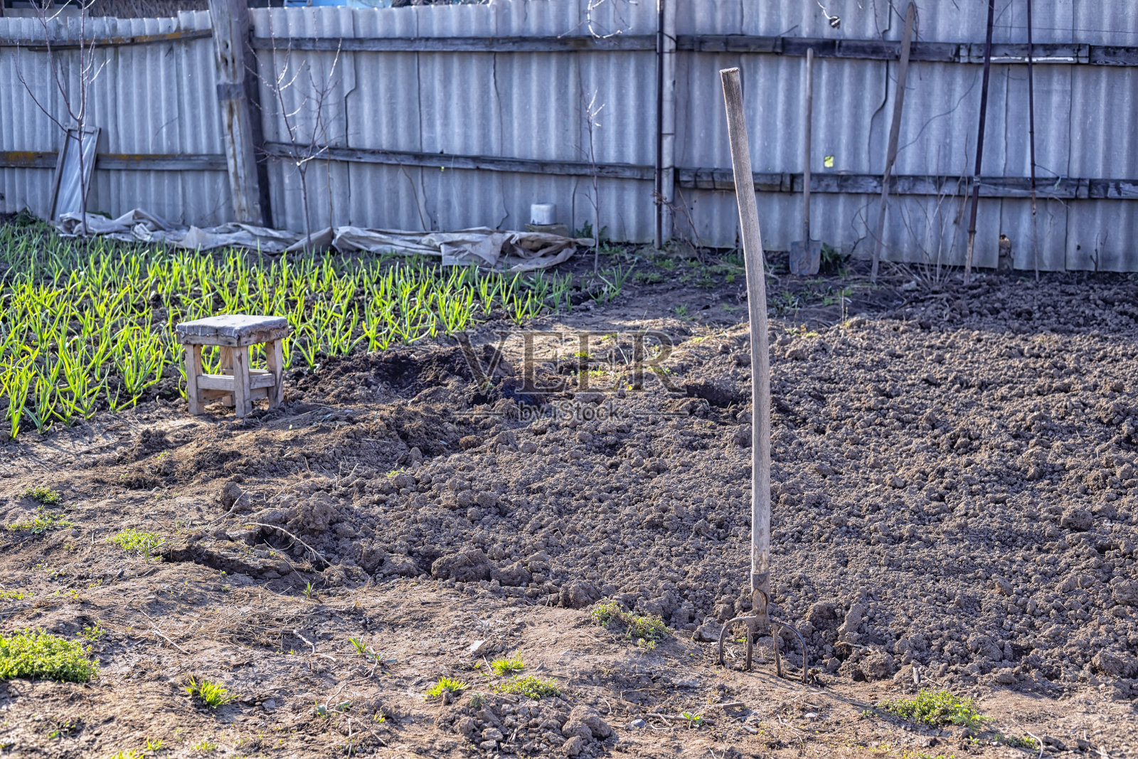 春天的早晨，在村子后院的花园里。干草叉插在已经挖出一部分的土壤里，准备种植蔬菜。背景是植物和家用设备。照片摄影图片