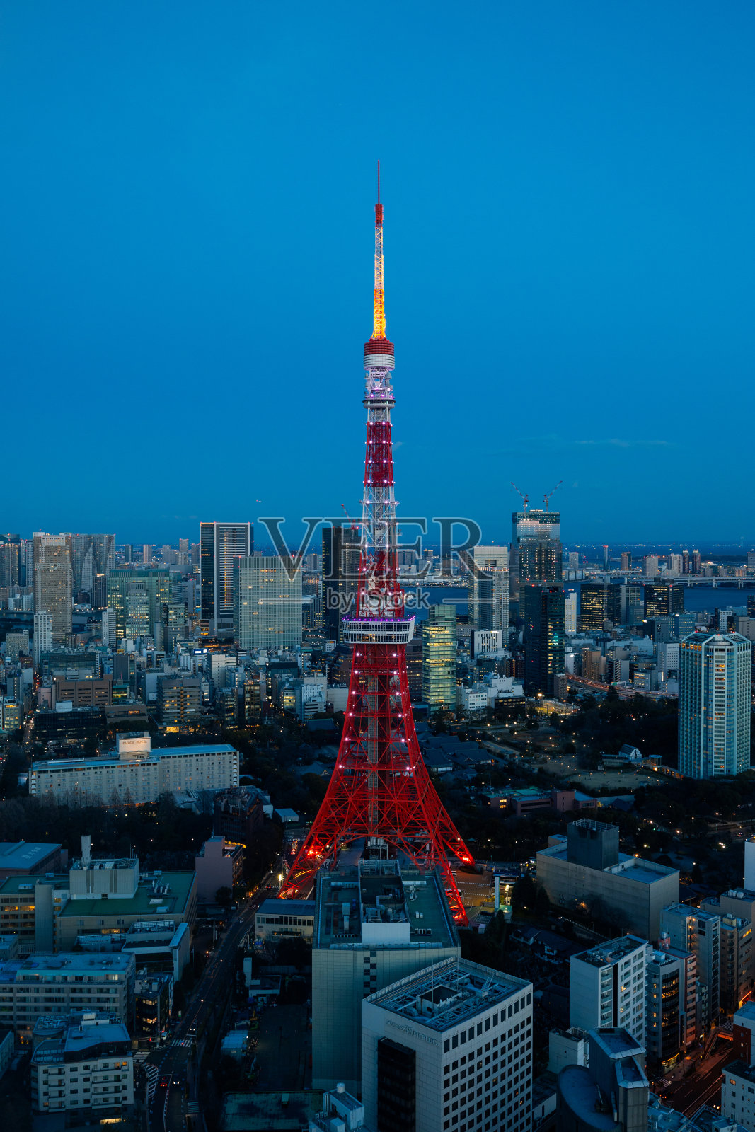 夜晚的东京塔照片摄影图片