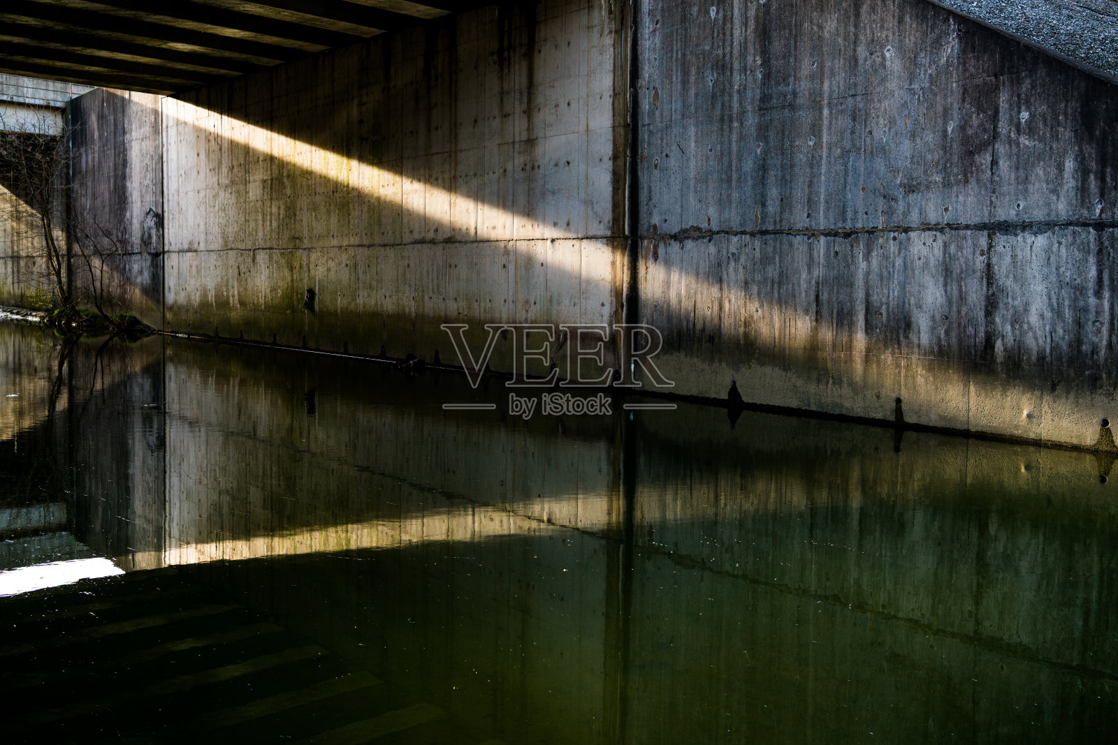 公园照片摄影图片