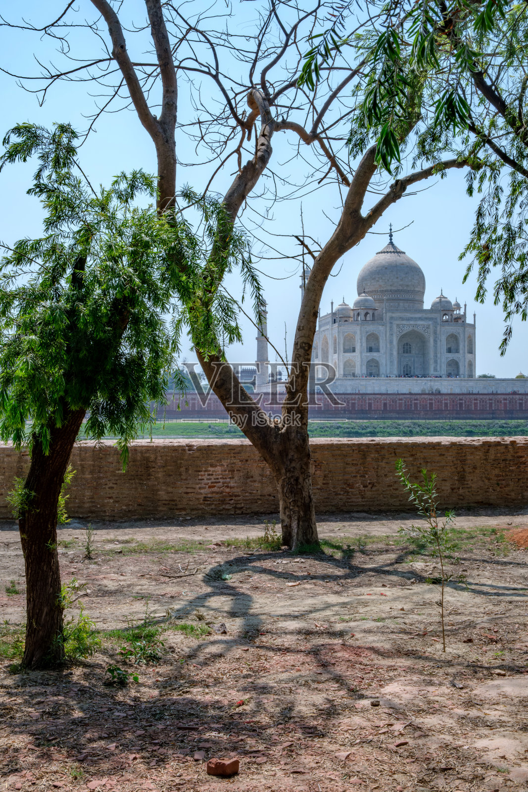 印度泰姬陵照片摄影图片