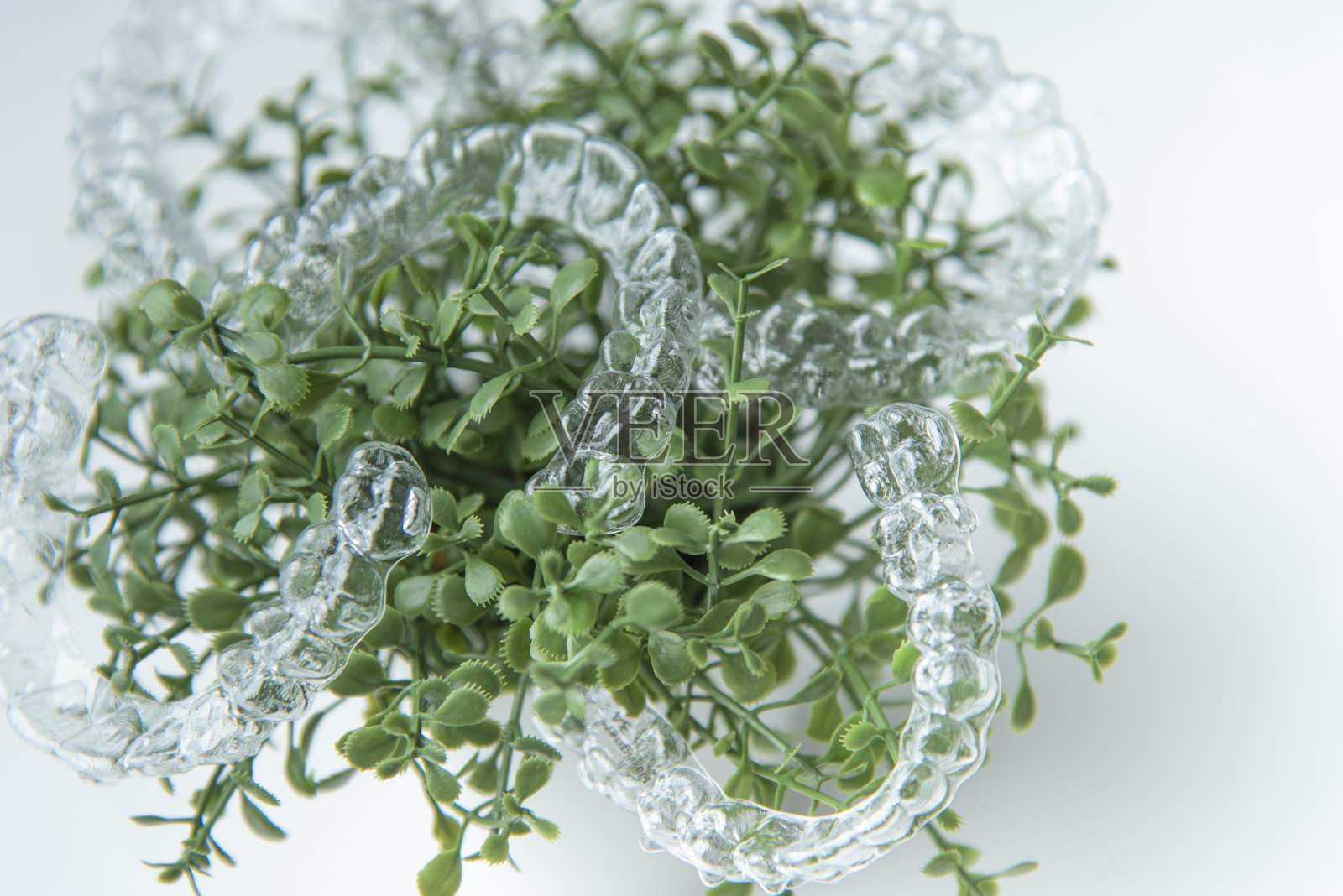 挂在室内植物绿叶上的矫正牙齿的塑料牙套牙科固位器照片摄影图片