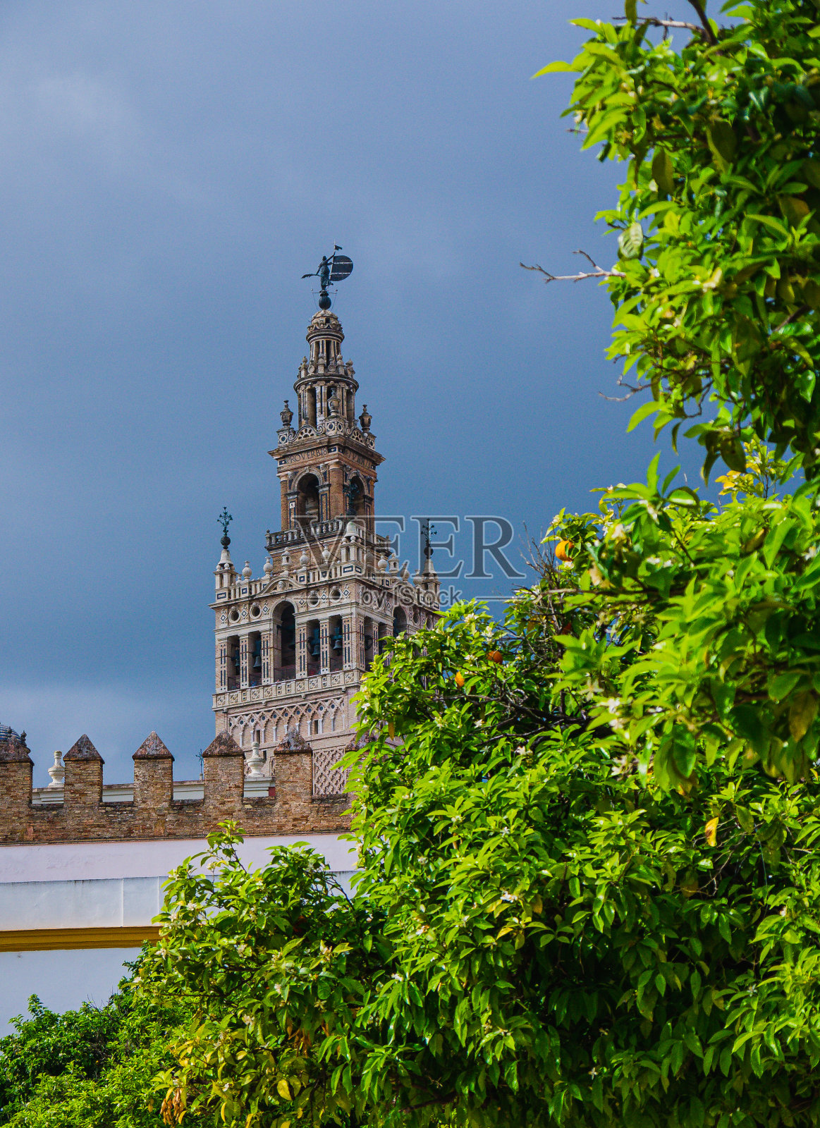 塞维利亚大教堂的吉拉尔达塔，位于塞维利亚市中心Constitución大道上。照片摄影图片