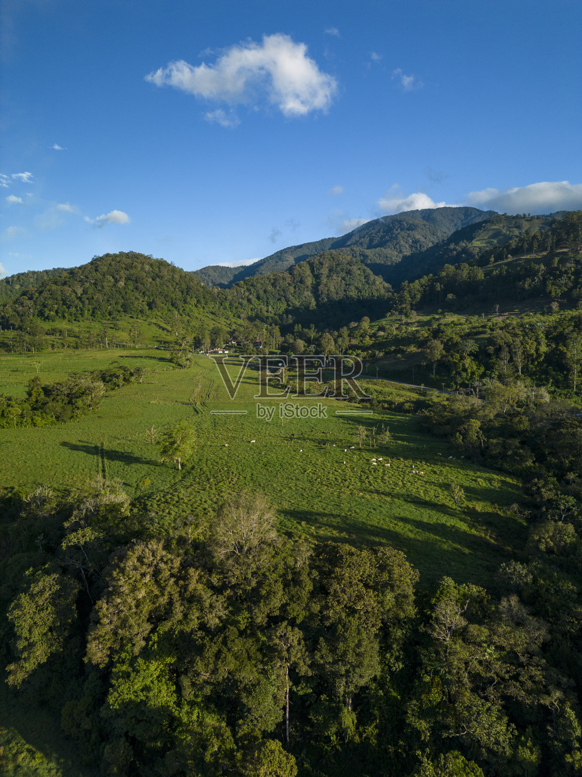 鸟瞰图的农场，田野，夏季景观-库存照片照片摄影图片