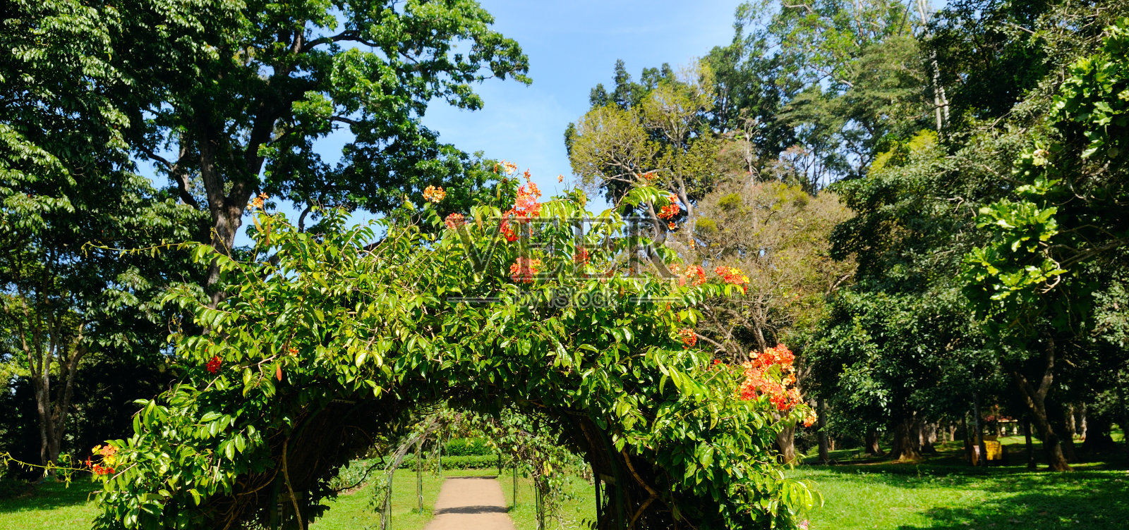 人行道上的花拱。宽的照片。照片摄影图片