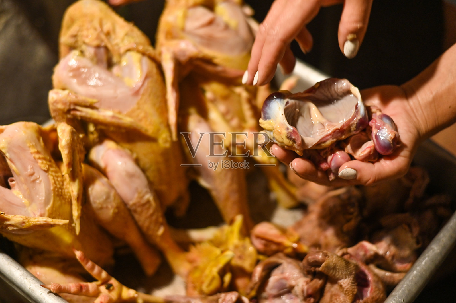 手里拿着内脏，拔下禽肉。鸡肉和鸽子肉。照片摄影图片