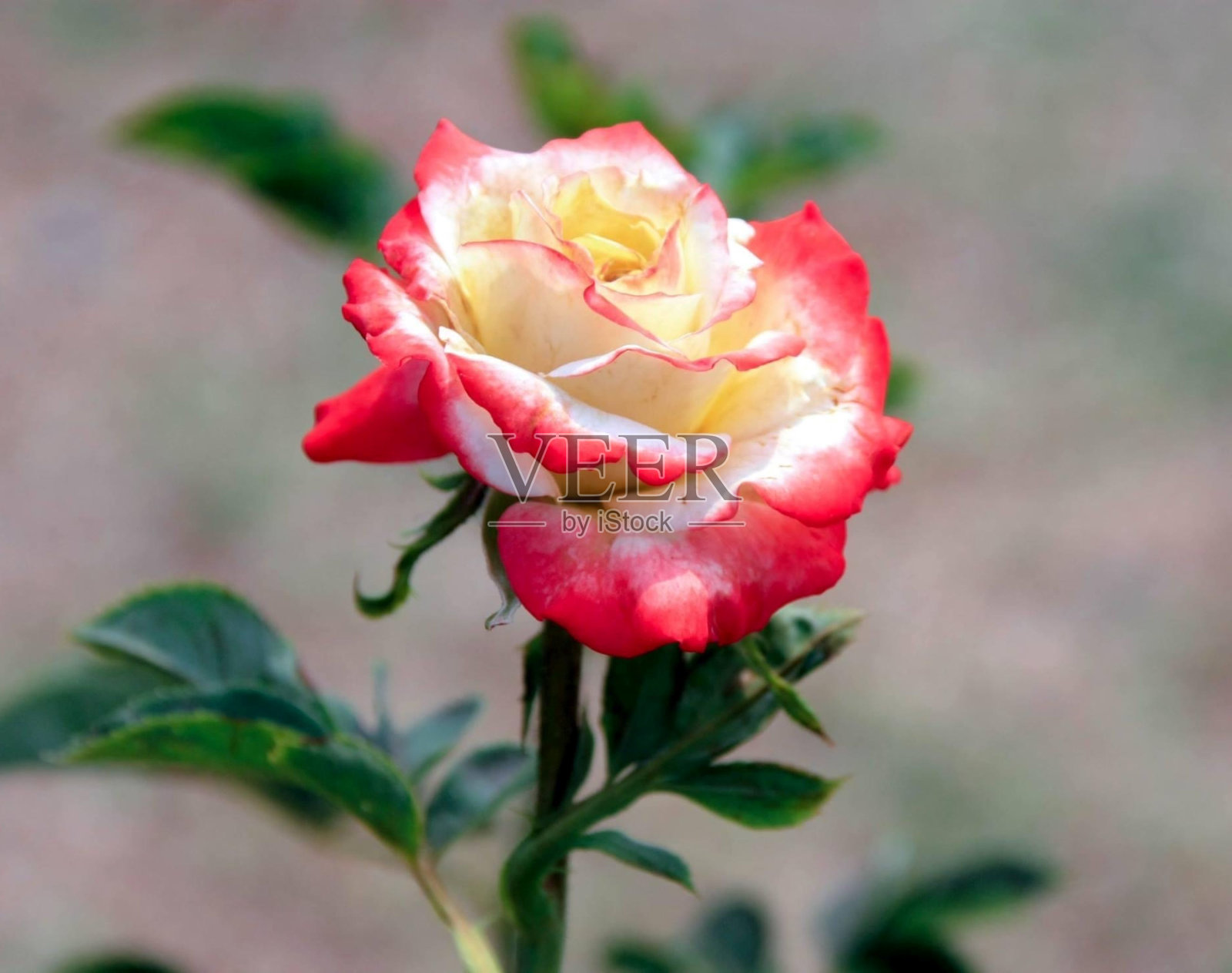 30照片摄影图片