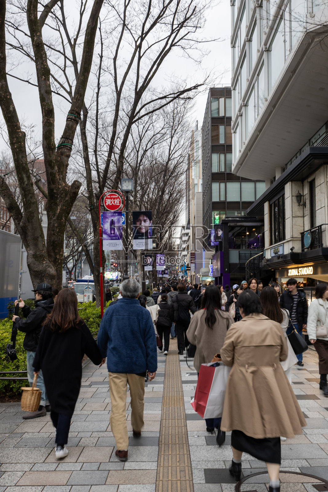 在表参道散步照片摄影图片