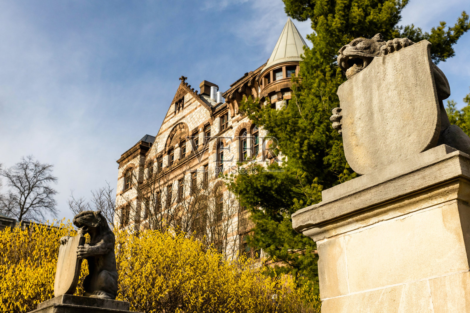 Witherspoon Hall和普林斯顿大学的大理石老虎照片摄影图片