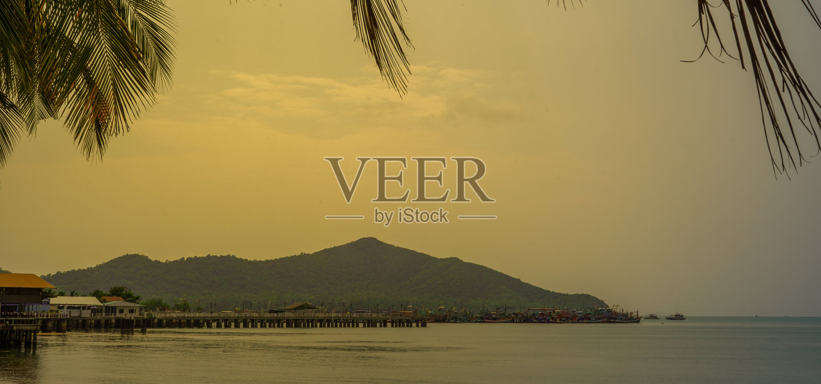 复古色调棕榈树在天空的背景照片摄影图片