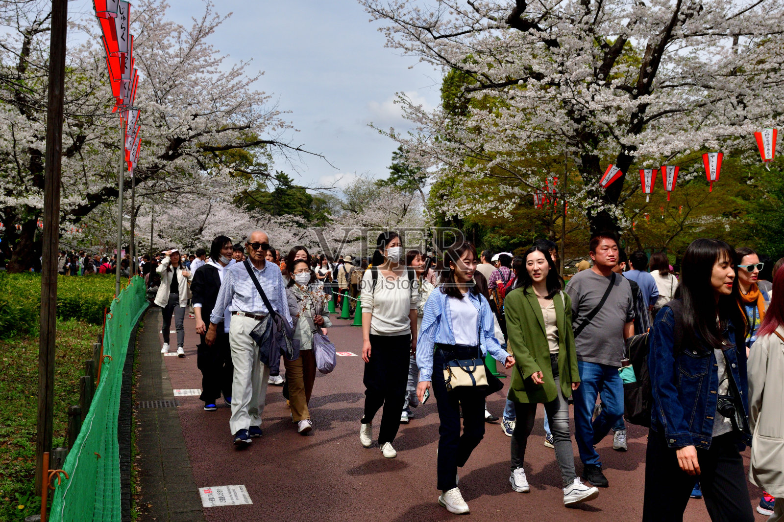 在东京上野公园赏樱的人群照片摄影图片