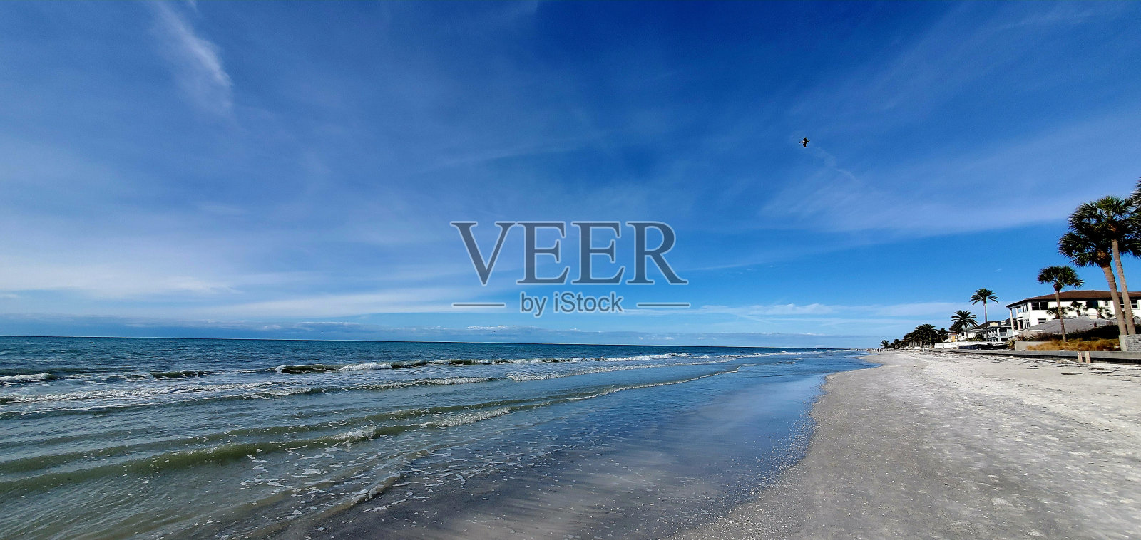 坦帕湾海滩和日落2023照片摄影图片