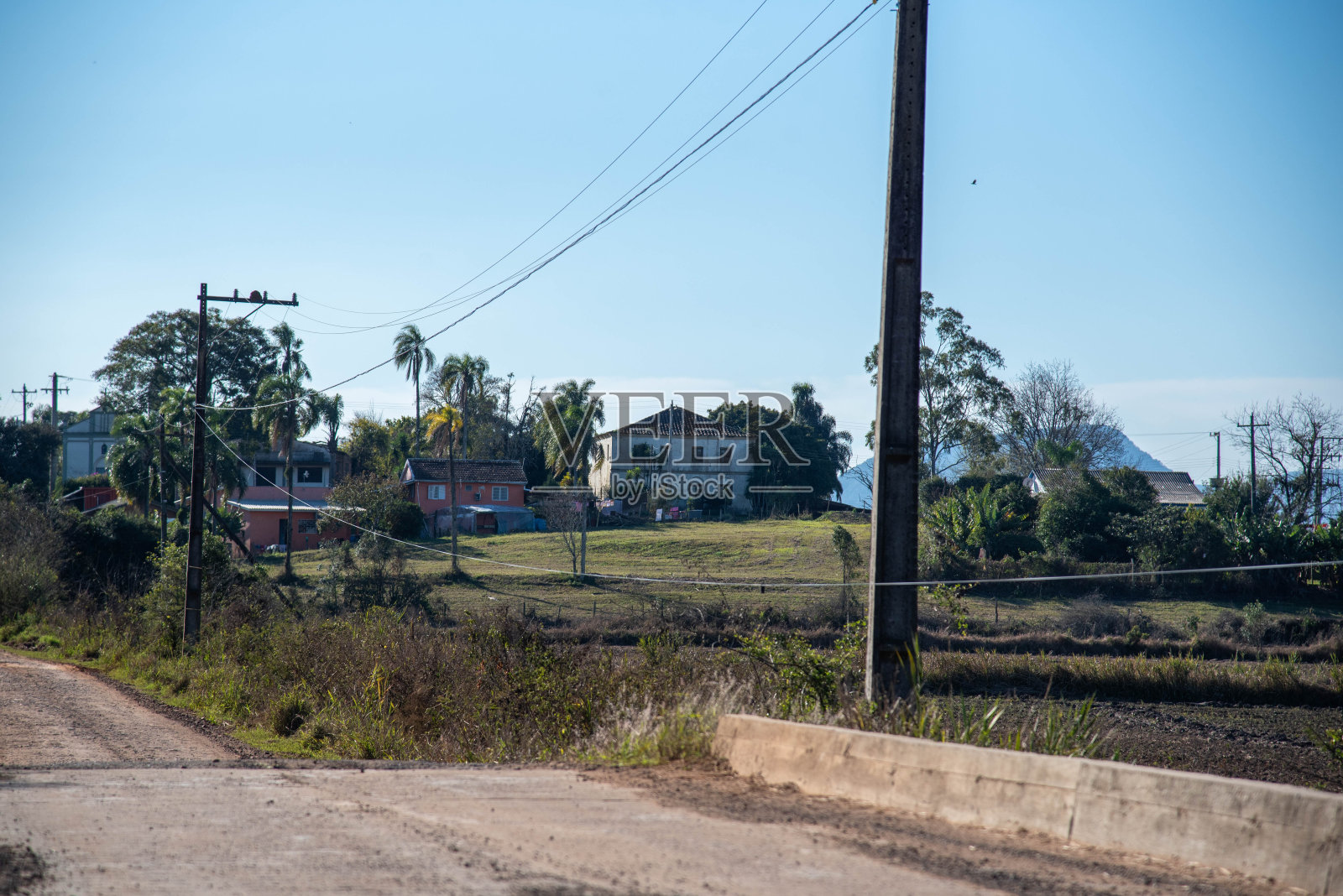 南美潘帕斯草原的景观照片摄影图片