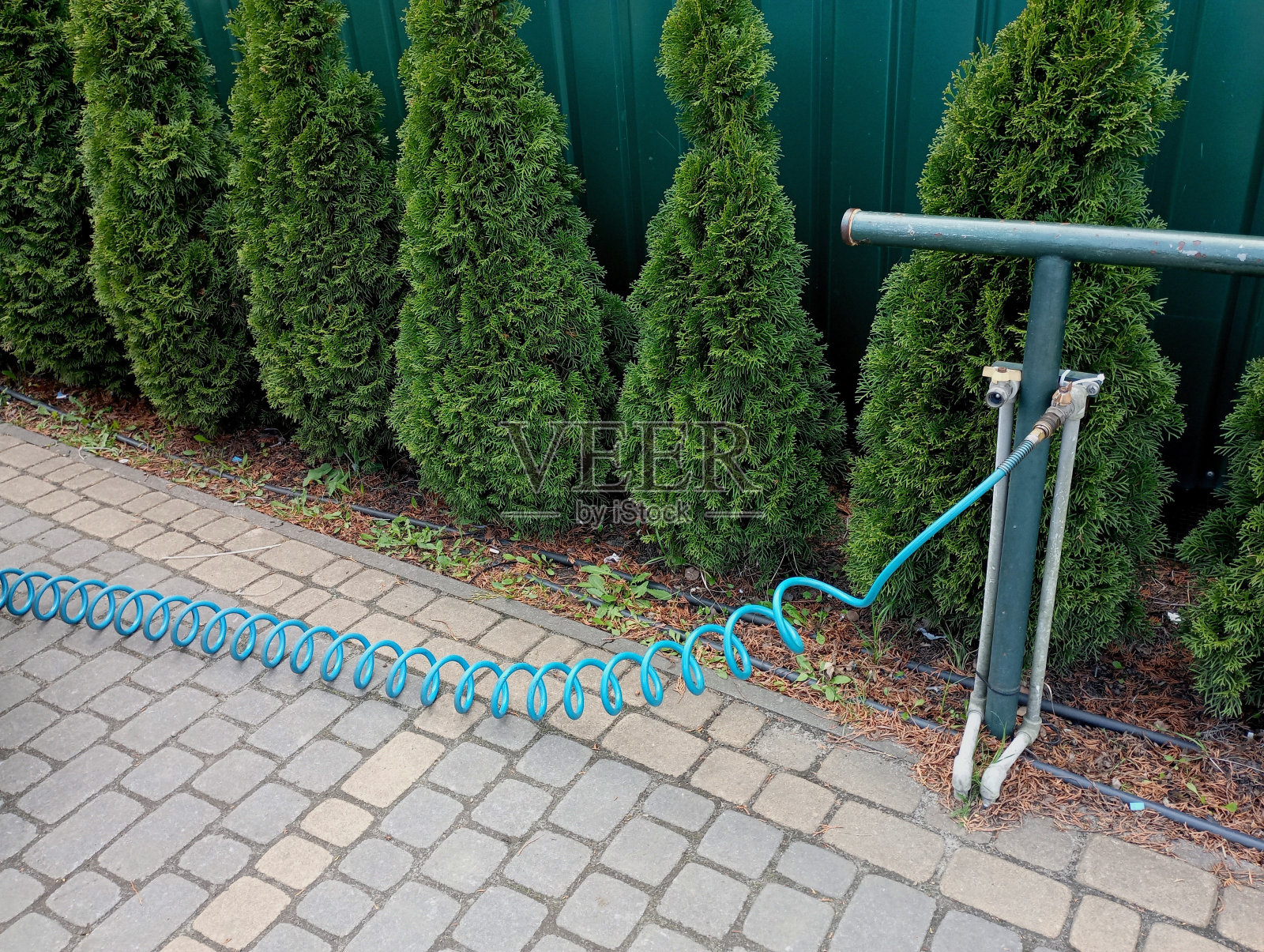 从外部空气压缩机取出的软管，用于给汽车轮胎充气。在树篱和金属板制成的金属栅栏的背景上有一根软管。街道上的装饰性植物。照片摄影图片