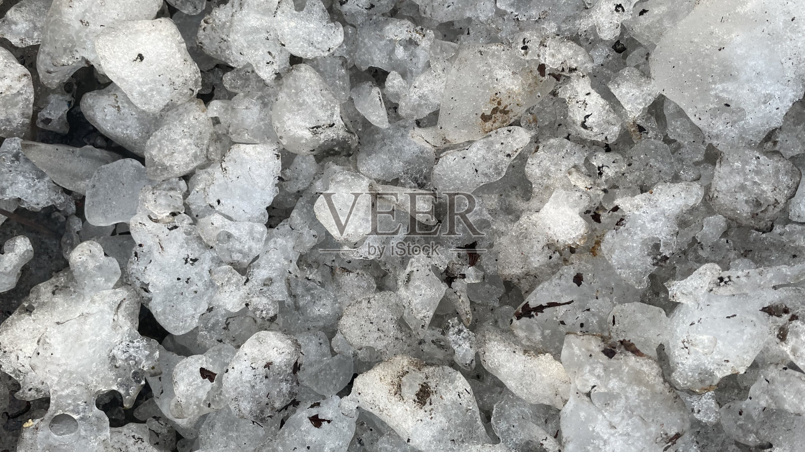 脏雪正在融化。土泉城。脏雪上有狗屎。照片摄影图片