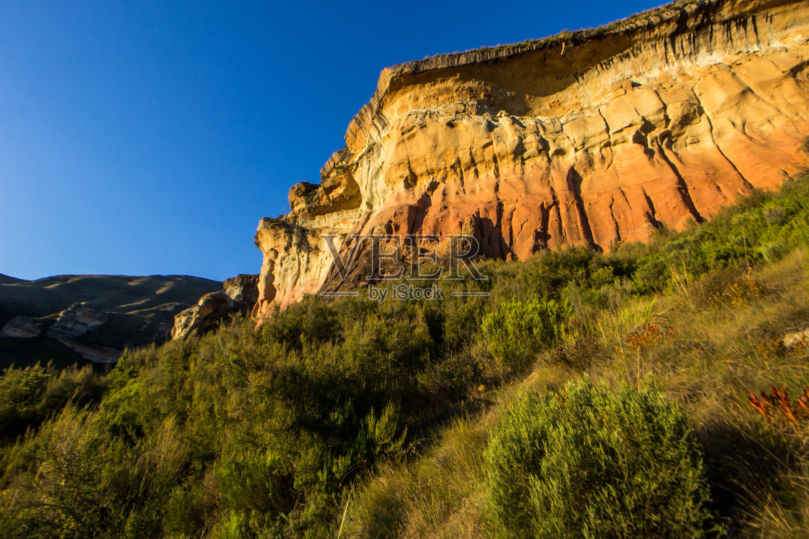 在金门高地国家公园，仰望雄伟壮观的金色和赭色砂岩悬崖。照片摄影图片