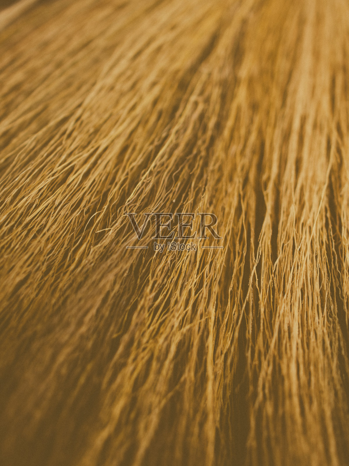 扫帚特写细节照片摄影图片