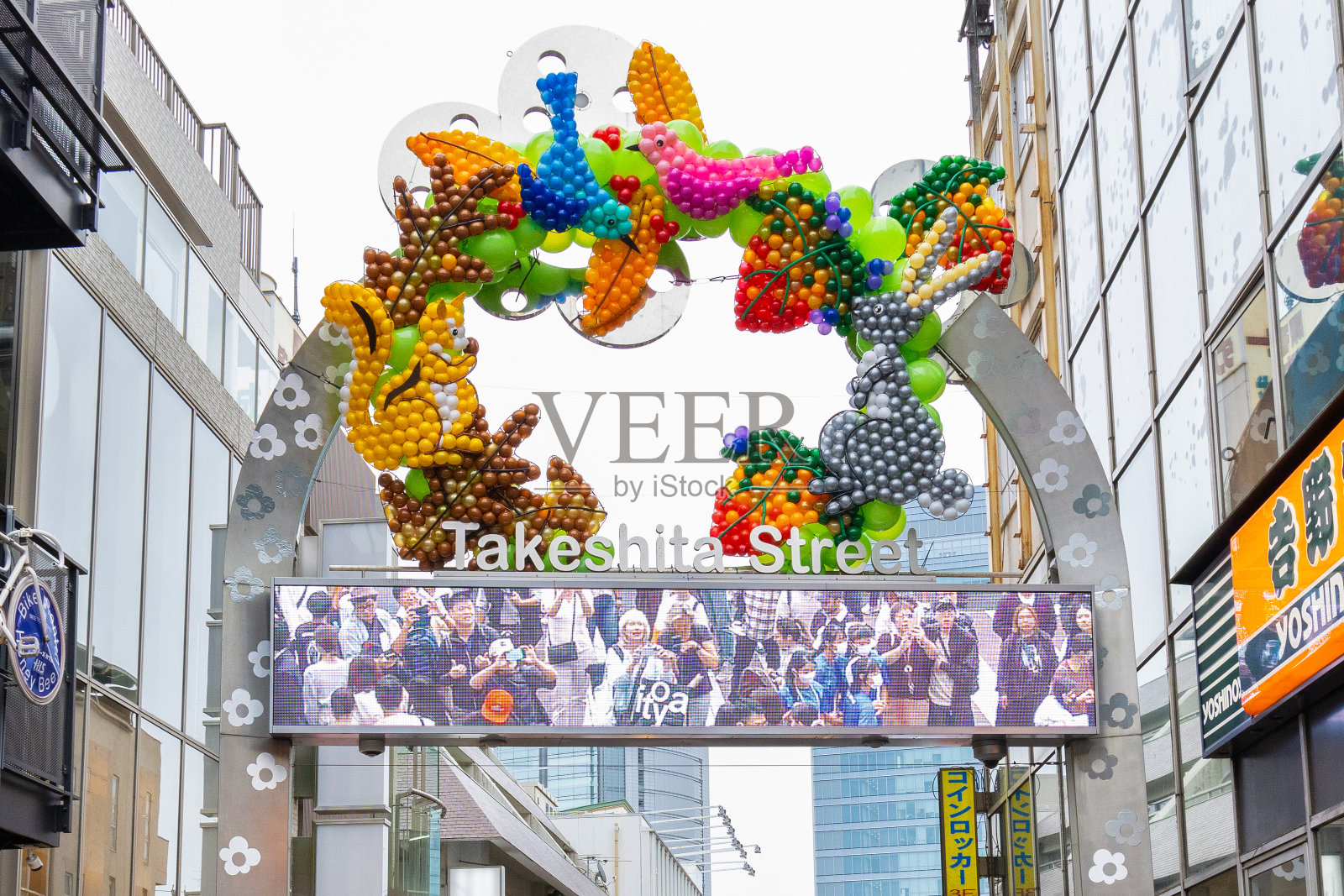 原宿的竹下街道标志照片摄影图片